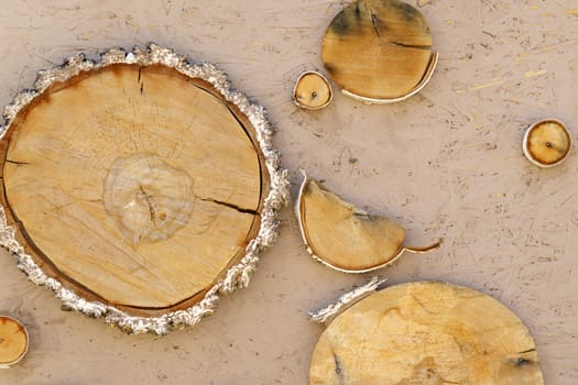 Wood cut texture, decor. Used various forms and textures of wood.