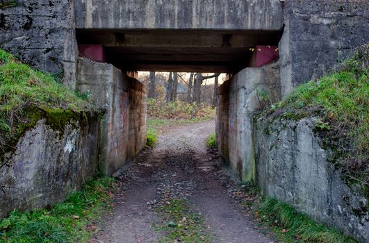 Country road through the tunnel. Tunnel under the bridge, The road to the village through a tunnel under the bridge.