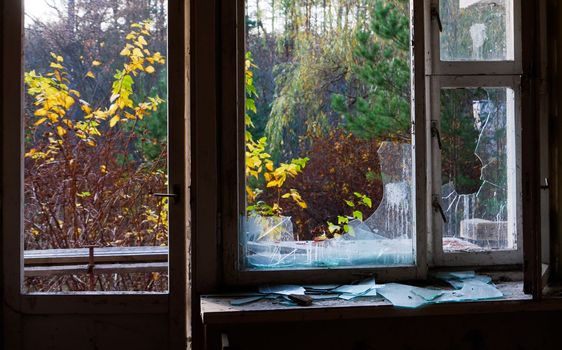The window of an old house with broken glass. View of the autumn forest from the window of an abandoned house. View of the autumn nature from the window with broken glass.