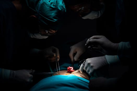 Surgical team performing surgery to patient in sterile operating room. In a surgery room lit by a lamp, a professional and confident surgical team provides medical care to an unconscious patient.