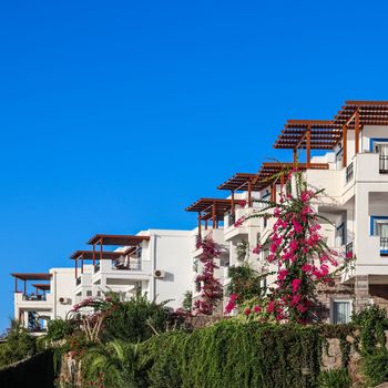 Traditional white summer houses in Bodrum, Turkey. Pink bougainvillea flowers and mediterranean plants in the garden. Summer vacation concept