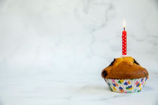 Birthday cupcake with and one red birthday cake candle on a white background with copyspace to side, Happy Birthday, party concept close up