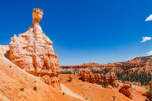 Striking rock formation on the picturesque Queens Garden Trail in the worth seeing Bryce Canyon National Park, USA
