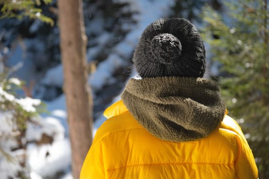 Woman in winter warm jacket walking in snowy winter pine forest. View from back.