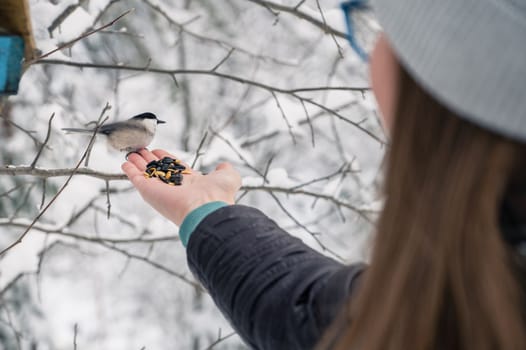 Woman in winter jacket feeding birds in snowy winter forest, snowy winter day.