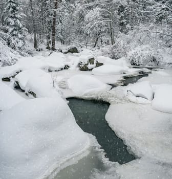 Beauty winter landscape with fair trees under the snow.