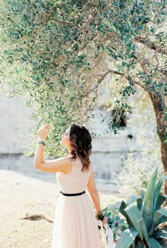 Bride in a beige dress with a smile touches the green branches of the olive tree. High quality photo