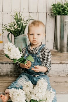 Girl 1 year old. sits holding a white hyacinth with a bulb in her hands, she is dressed in a plaid shirt and denim overalls on a wooden background with green plants in pots