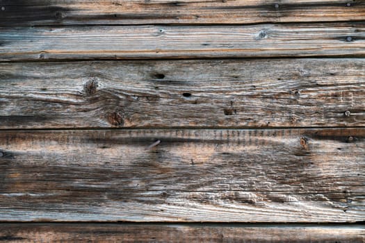 Texture of old wood. Background image