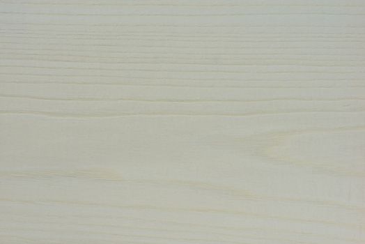 Texture of white wood. Large textured ash wood, painted white. White ash