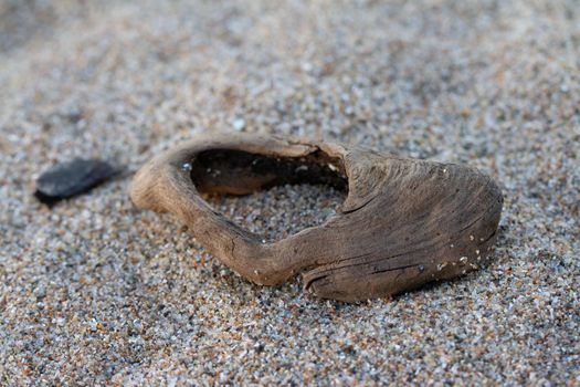 Close up of a small piece of driftwood on a sandy beach, Southampton, Ontario Canada