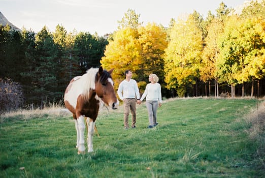 Man and woman walk along the green lawn to the horse holding hands. High quality photo