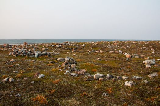 Remains of several Inuit tent rings along the coast of Hudson Bay north of Arviat at a place called Qikiqtarjuq, Nunavut, Canada