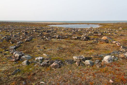 Remains of Inuit tent ring along the coast of Hudson Bay north of Arviat at a place called Qikiqtarjuq, Nunavut, Canada