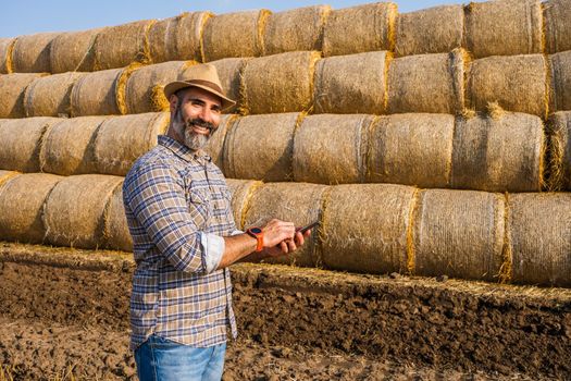 Happy farmer is standing beside bales of hay. He is examining straw after successful harvesting.