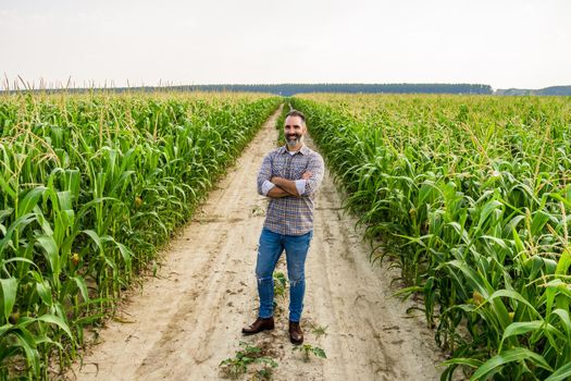 Proud farmer is standing in his growing corn field. He is satisfied because of successful season.