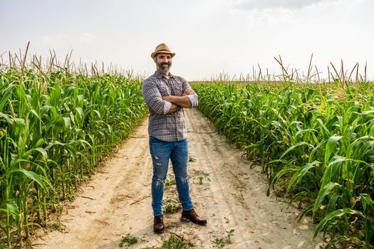 Proud farmer is standing in his growing corn field. He is satisfied because of successful season.