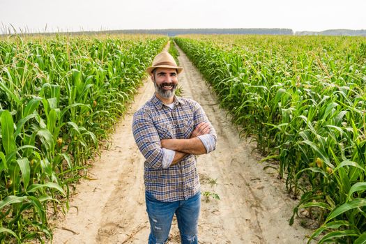 Proud farmer is standing in his growing corn field. He is satisfied because of successful season.