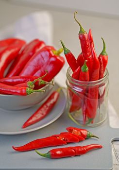 Grey background with chili pepper. Red, hot. Capsicum. Seasoning Spice Mexican