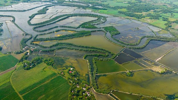 Aerial drone of river among rice fields and farmland. Agricultural landscape. Hinigaran River. Negros, Philippines