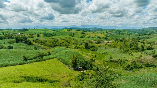 Top view of plantations of sugar cane and agricultural land on the slopes of the hills. Negros, Philippines