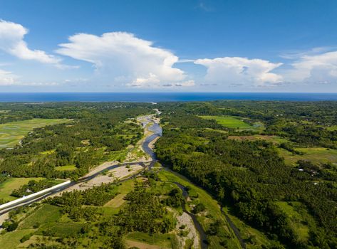 River among agricultural land and rice fields in the tropics. Negros, Philippines