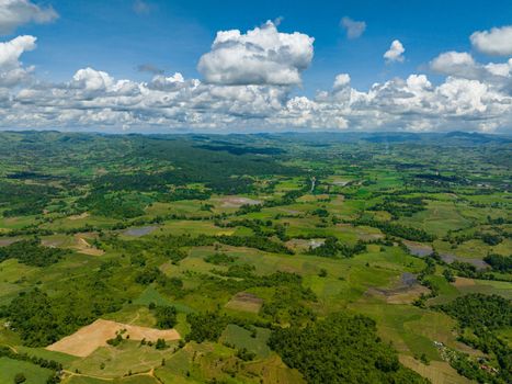 Farmland and plantations with vegetables in the countryside. Negros, Philippines
