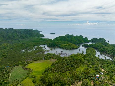 Top view of farmland on the coast in the tropics. Agricultural land and rice fields. Negros, Philippines