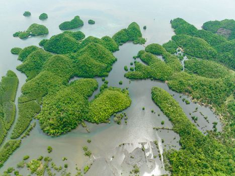 Tropical island in the cove. Clusters of islands in lagoons. Sipalay, Negros, Philippines.