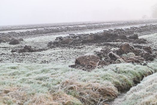 Pricked peat on a frosty and foggy winter morning