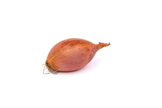 A kitchen onion as a healthy vegetable isolated against a white background in the studio