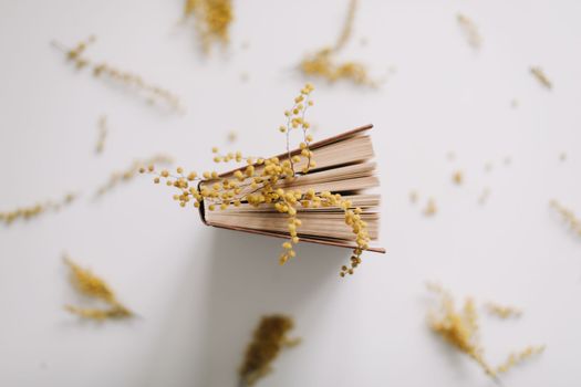 Spring composition with a book and yellow mimosa flowers on white background. Creative layout. Spring minimal concept. Hello April, Easter card