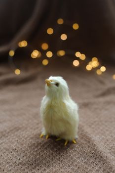 Close-up of a small yellow chicken. Easter card with a copy space. Spring Easter decor. Wallpaper or Banner.