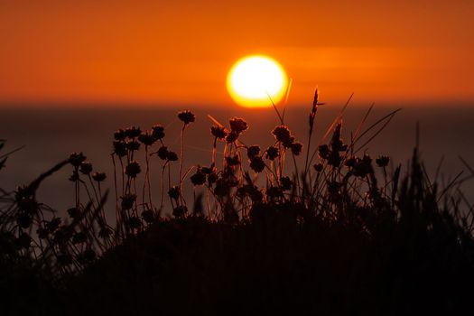 Sunset with the Atlantic Ocean and vegetation in the background. High quality photo