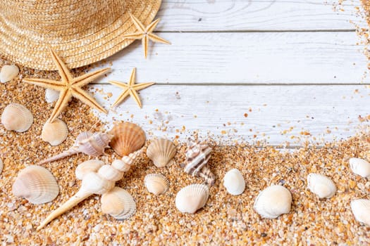 Sand seashells background. Summer time concept with sea shells and starfish on wooden background and sand.