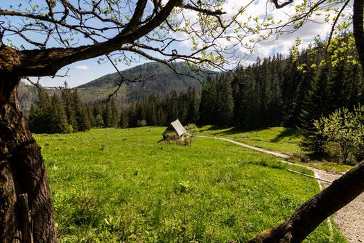 Shepherd's hut shelter on meadow. Highlander wooden hut in Zakopane, Poland. Traditional wooden hut in Tatra mountains. High quality photo.