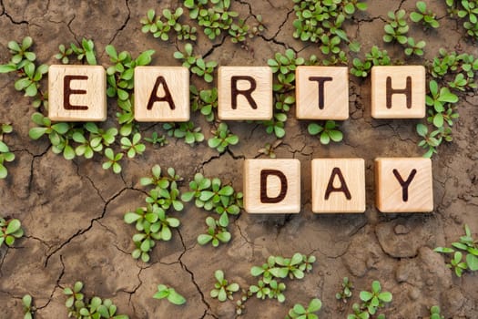 Cracked soil plants letter block toy cube wood text Earth day on dry ground plant sprout. Crack earth word block wooden cubes on cracked ground plant. Environment day on dry earth plant soil dry dirt