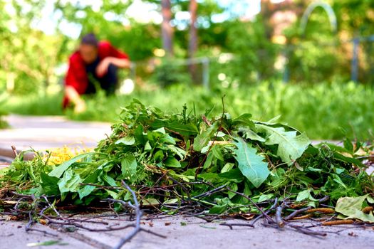 the action of making something clean, especially the inside of a house