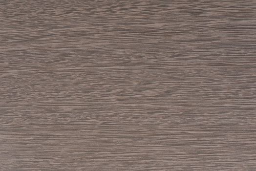 Texture of exotic wood. Close-up of the texture of lati wood, the structure of the breed of the aurican tree lati silver ash color.