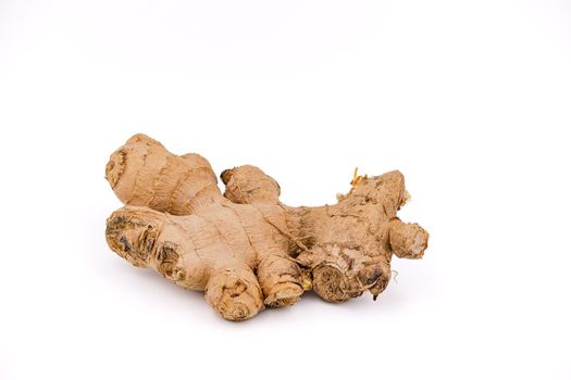 A ginger tuber from organic farming cut out in front of white background with focus stacking as studio shot