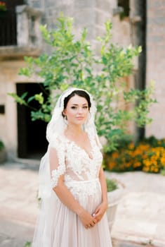 Bride in a veil stands near a tub with a tree. High quality photo