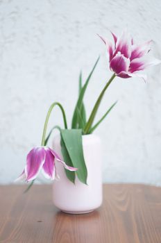 Delicate pink tulips in a vase, spring still life, minimalist, floral background. High quality photo
