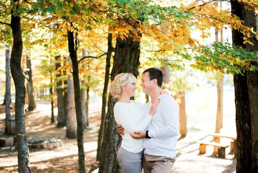 Man and woman hugging under a tree with yellow leaves. High quality photo