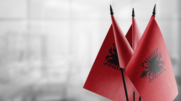 A small Albania flag on an abstract blurry background.