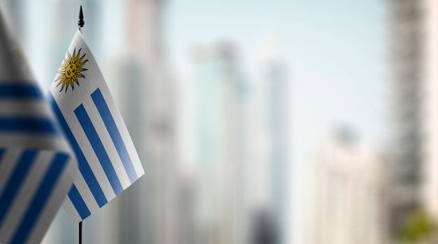 Small flags of the Uruguay on an abstract blurry background.