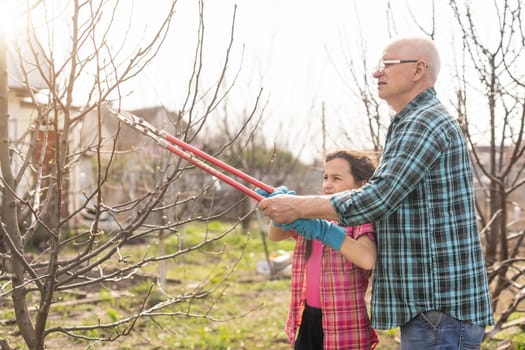 Senior grandfather and granddaughter gardening in the backyard garden