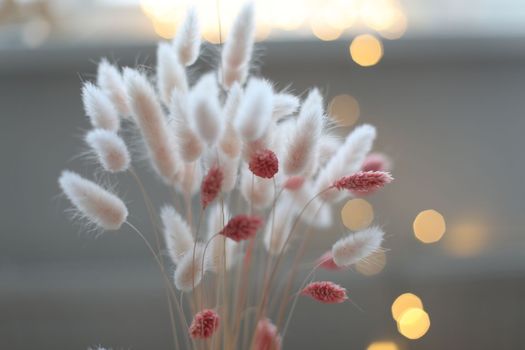 Dry flowers plant floral branch on soft pastel background. Blurred selective focus. Pattern with neutral natural colors