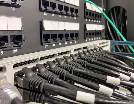 Ethernet cables connected from patch panel to the network equipment.