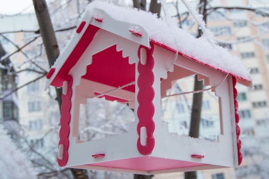 Red bird feeder hanging on a tree covered with snow in the city in winter.