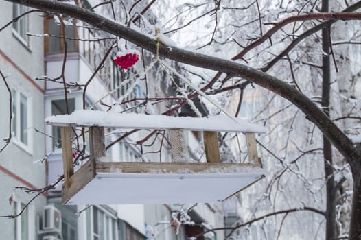 Wooden feeding trough for birds hanging on the tree of Rowan, covered with snow in the city in winter